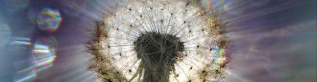 I want to become a Psychologist