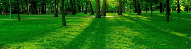 Best Places to Live in America